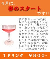 月替わりカクテルの紹介ヾ(*・ω・)ノ゜【まじかる日記】