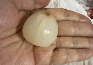 抜け出そうーー【気まぐれ日記】