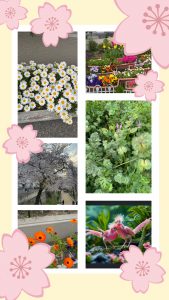 深夜に更新致します【気まぐれ日記】