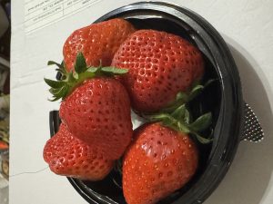 深夜に更新致します【気まぐれ日記】
