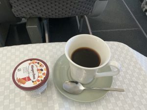 帰国【気まぐれ日記】