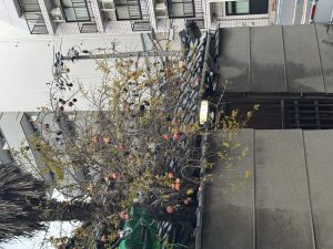 深夜に更新致します【気まぐれ日記】
