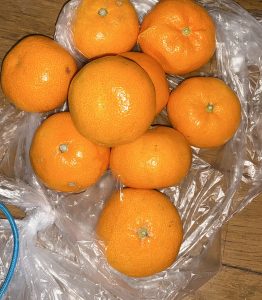 3日【気まぐれ日記】