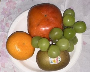 1日【気まぐれ日記】