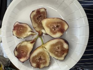 深夜に更新致します【気まぐれ日記】
