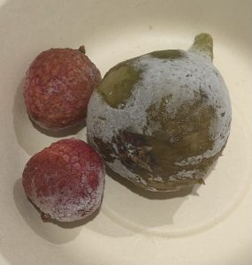 深夜に更新致します【気まぐれ日記】