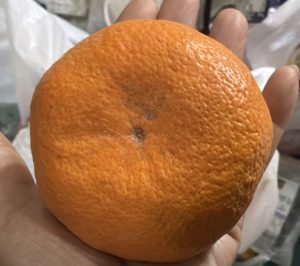 深夜に更新致します【気まぐれ日記】