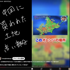 カイロプラクティックと鍼灸院【気まぐれ日記】
