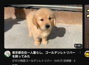 深夜に更新致します【気まぐれ日記】
