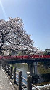 高山から大阪へ【気まぐれ日記】