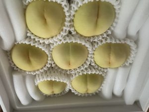 深夜に更新致します【気まぐれ日記】