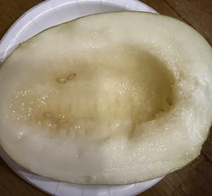 3日分　マスクメロン食す【気まぐれ日記】