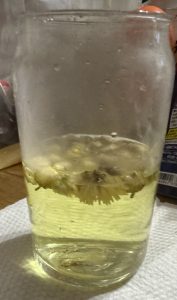 肝臓の数値高め【気まぐれ日記】
