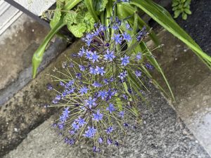 深夜に更新致します【気まぐれ日記】