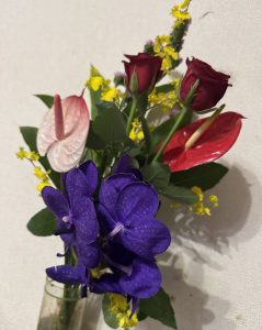 ダメダメ【気まぐれ日記】