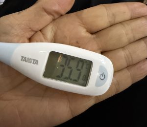 深夜に更新致します【気まぐれ日記】