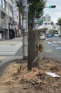 耳鳴りが止まらない【気まぐれ日記】