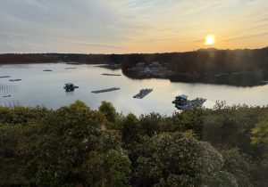 深夜に更新致します【気まぐれ日記】