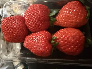 深夜に更新致します【気まぐれ日記】