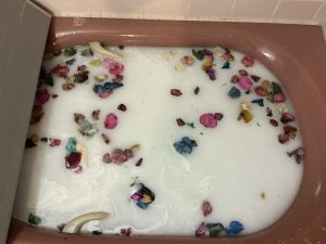 深夜に更新致します【気まぐれ日記】