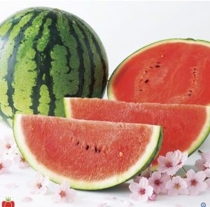 深夜に更新致します【気まぐれ日記】