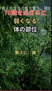連日の激しい耳鳴り【気まぐれ日記】