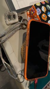 帰国【気まぐれ日記】