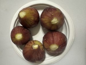 深夜に更新致します【気まぐれ日記】