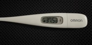 31日【気まぐれ日記】