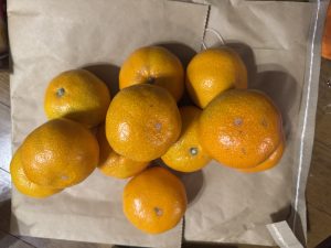 定休日お籠もり【気まぐれ日記】