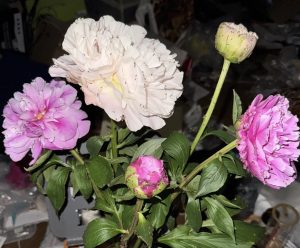 深夜に更新致します【気まぐれ日記】