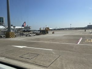 帰国【気まぐれ日記】