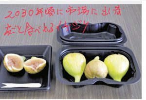 深夜に更新します【気まぐれ日記】