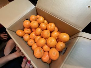 13日土曜日【気まぐれ日記】