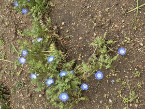木曜日分　内科に【気まぐれ日記】