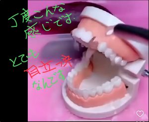 深夜に更新致します【気まぐれ日記】