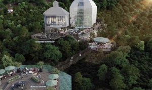 深夜に更新致します【気まぐれ日記】