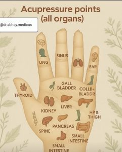 深夜に更新致します【気まぐれ日記】