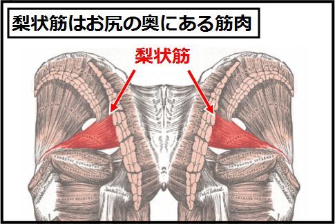 下半身の冷え性原因とその改善方法とは？【ZEN MASSAGE TOKOYO【オフィシャル・ブログ】】